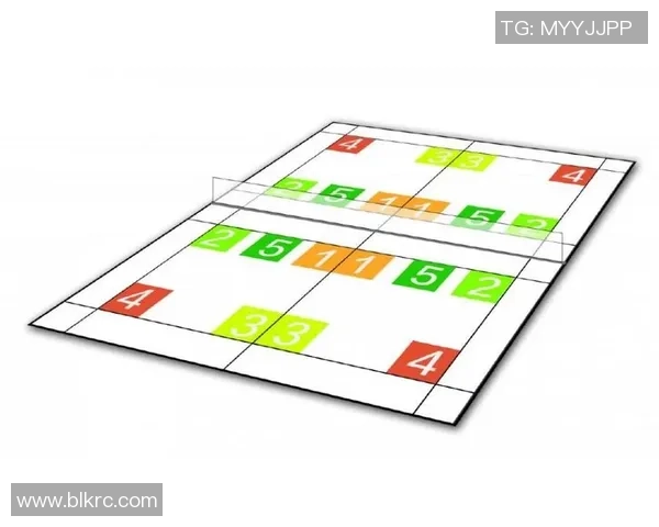 上海羽毛球队的节奏分析与成绩反思探讨